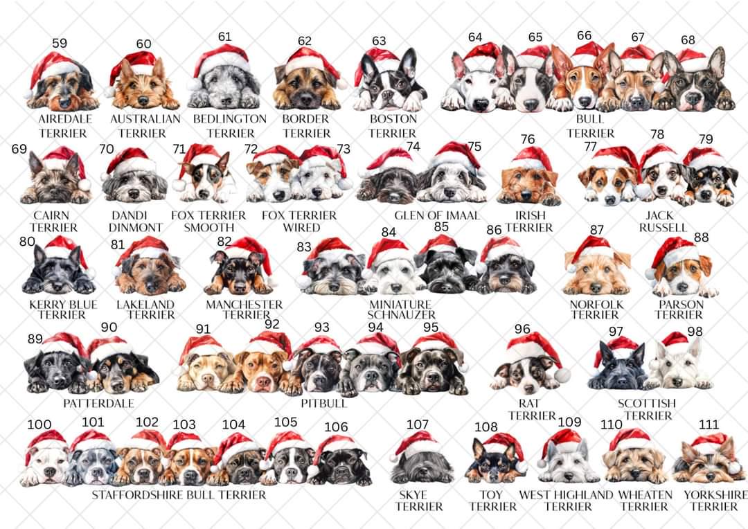 Personalised Dog Breed Santa Present Sack- Treat Sack- Christmas Sack- For The Dog