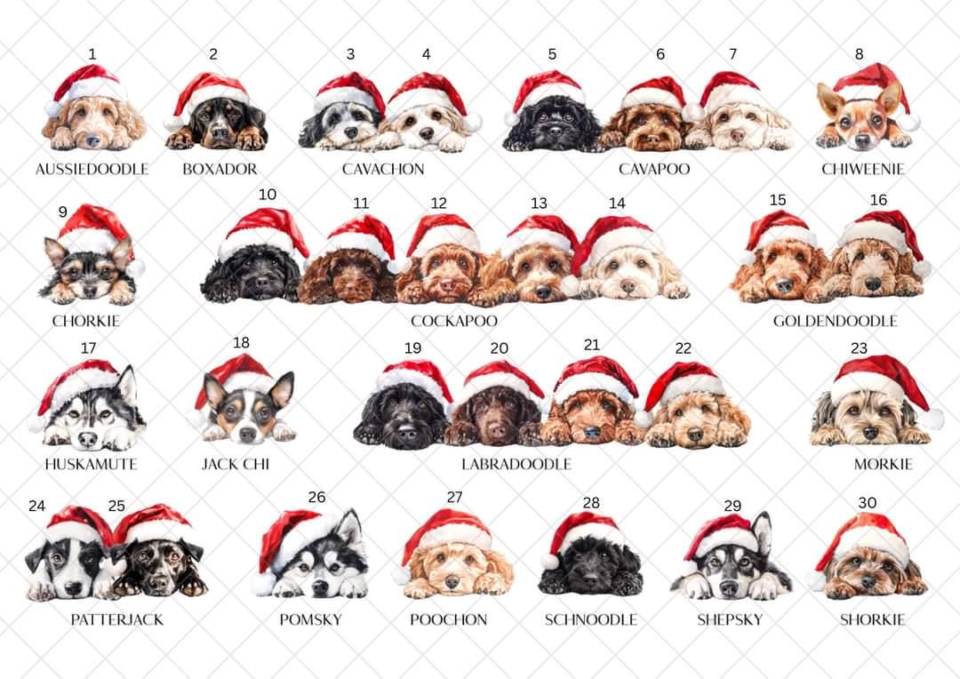 Personalised Dog Breed Santa Present Sack- Treat Sack- Christmas Sack- For The Dog
