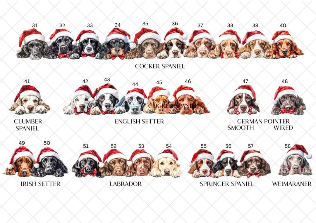 Personalised Dog Breed Santa Present Sack- Treat Sack- Christmas Sack- For The Dog