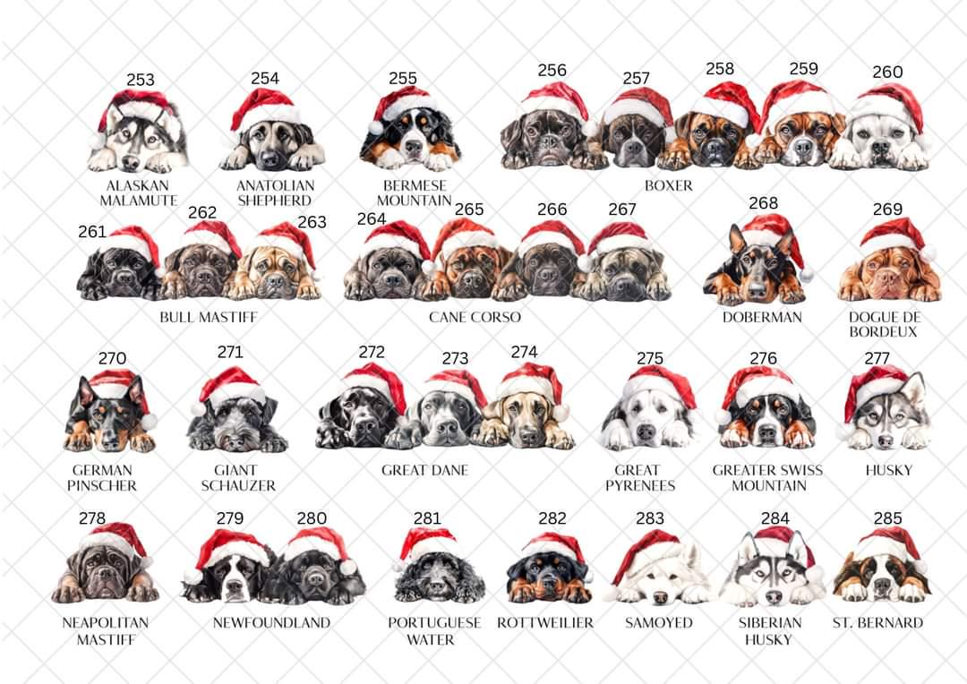 Personalised Dog Breed Santa Present Sack- Treat Sack- Christmas Sack- For The Dog