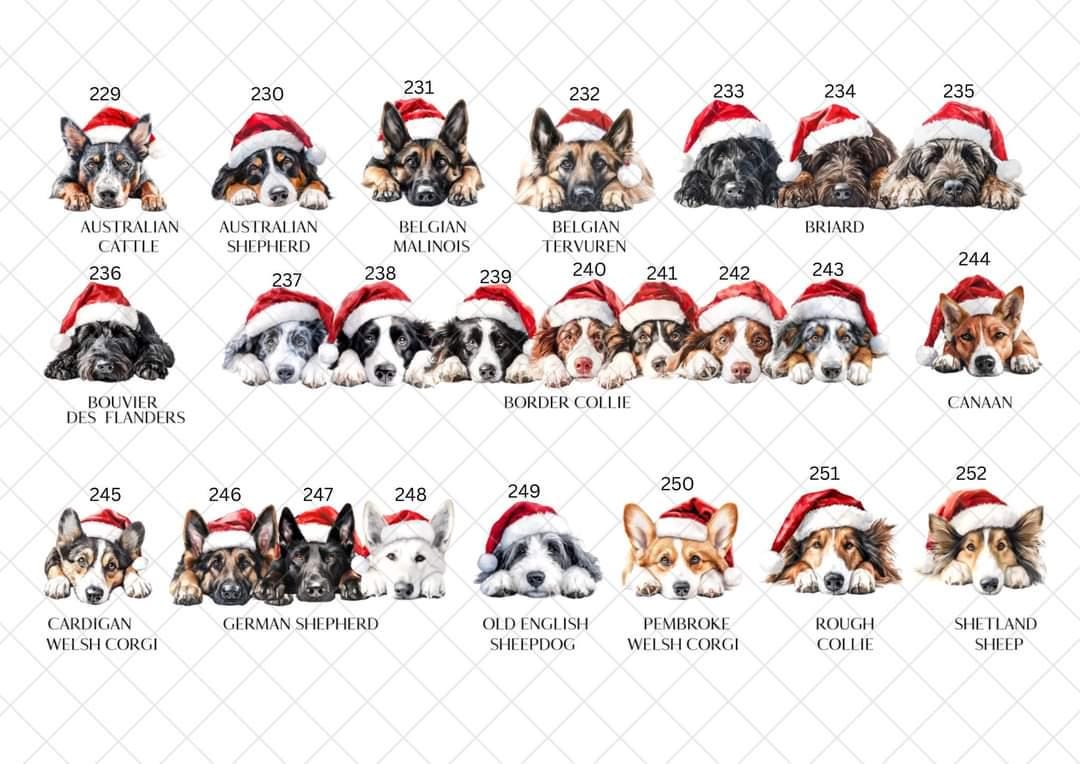 Personalised Dog Breed Santa Present Sack- Treat Sack- Christmas Sack- For The Dog