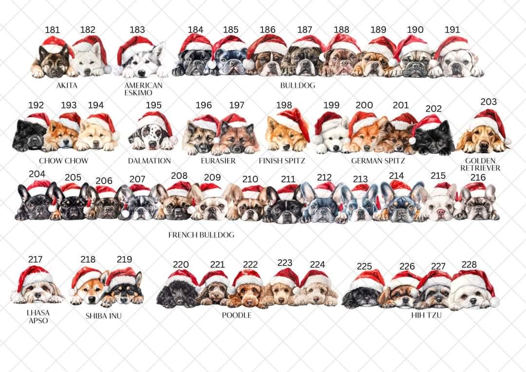 Personalised Dog Breed Santa Present Sack- Treat Sack- Christmas Sack- For The Dog