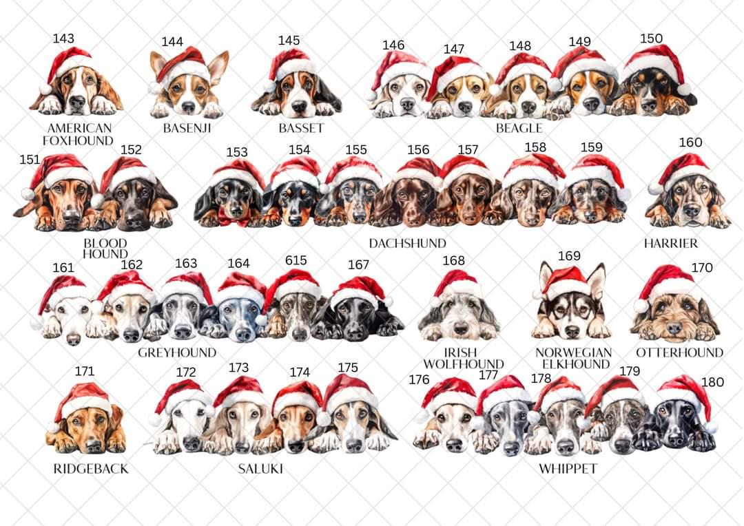 Personalised Dog Breed Santa Present Sack- Treat Sack- Christmas Sack- For The Dog