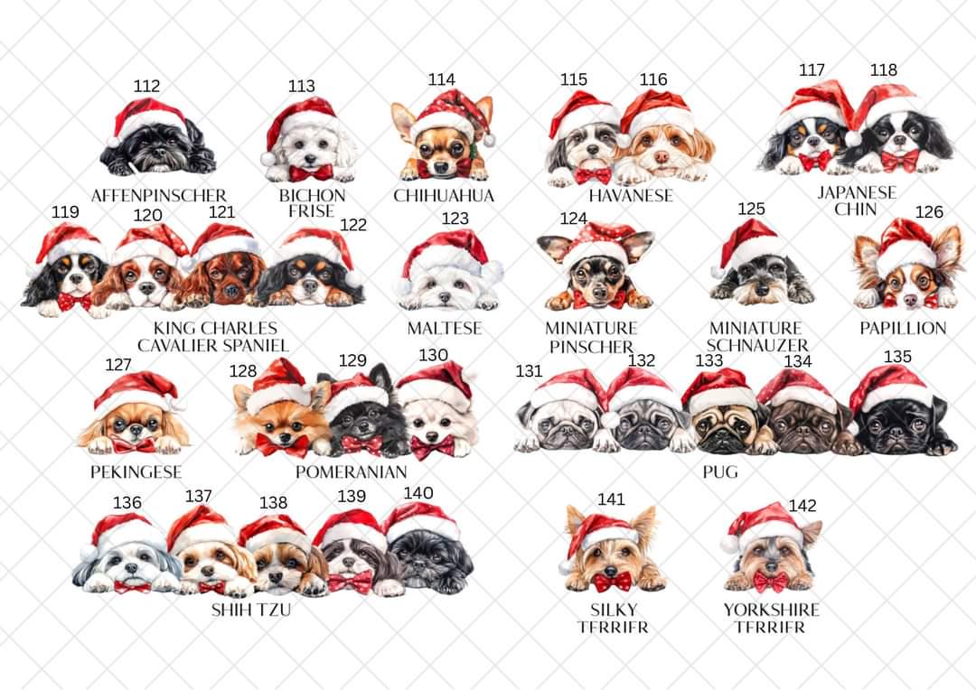 Personalised Dog Breed Santa Present Sack- Treat Sack- Christmas Sack- For The Dog