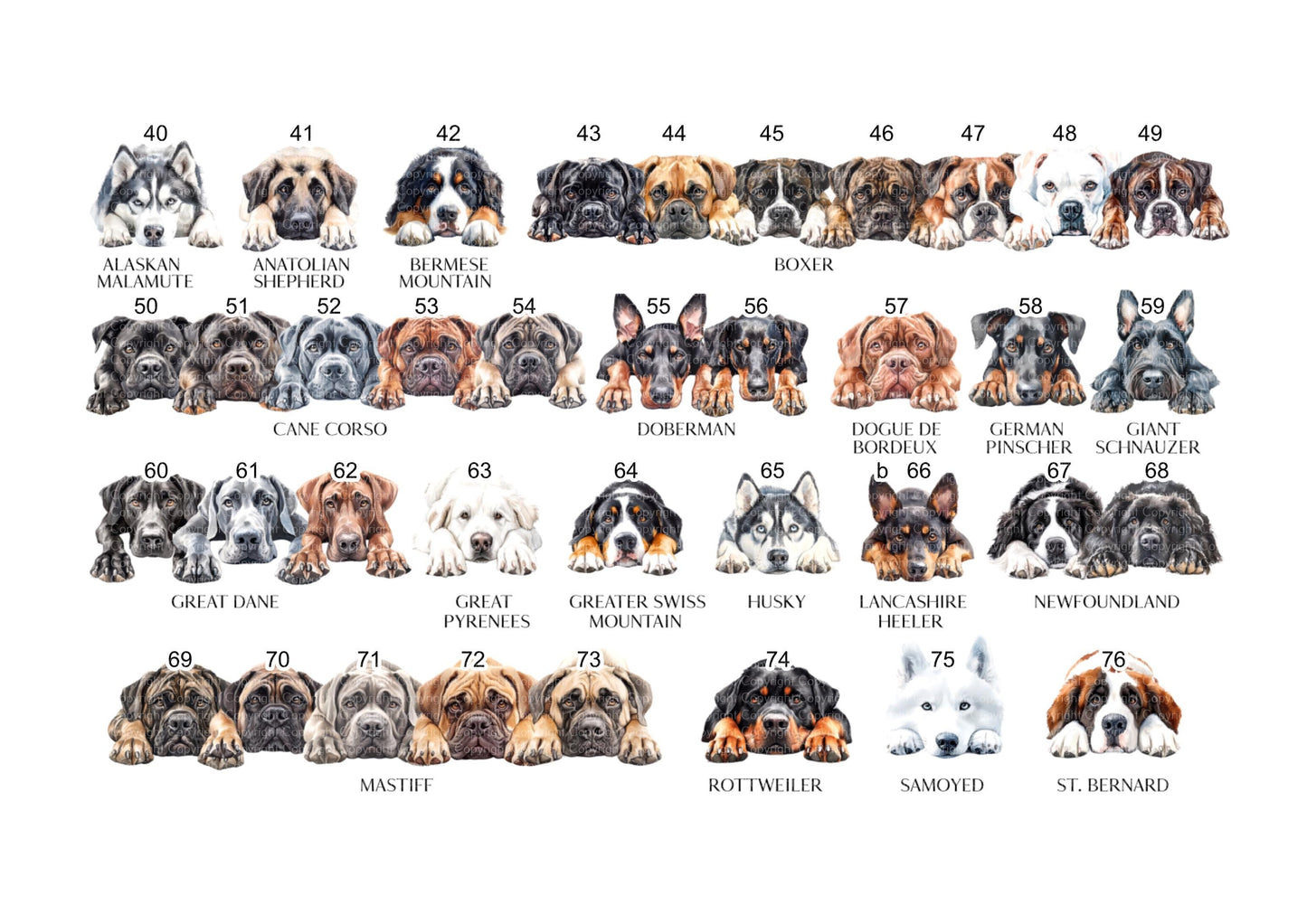 I woof you mummy - Dog Mother's Day Gift - Father's Day Gift - For Mummy - For Daddy - Different Breeds - From Dog Gift
