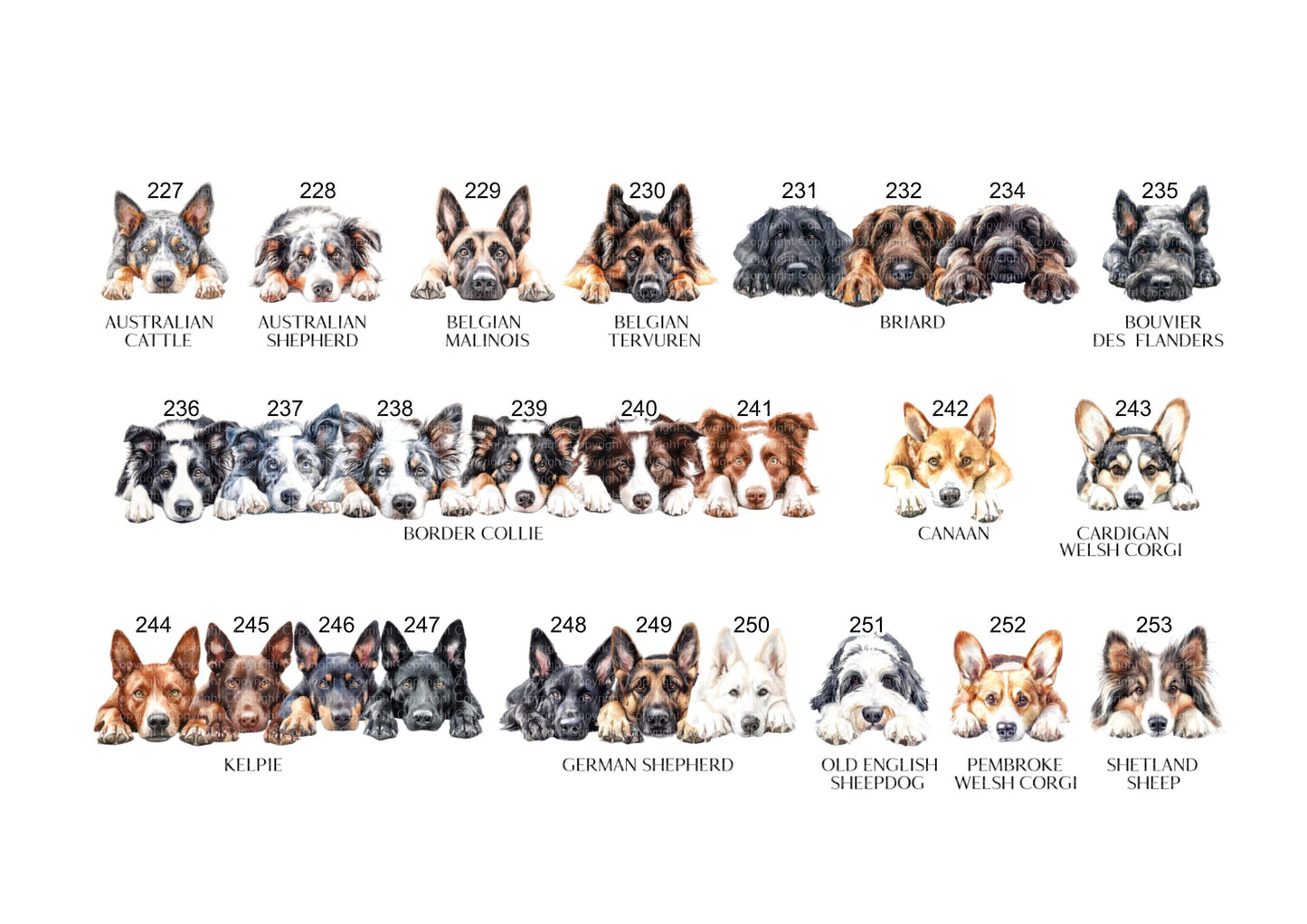 I woof you mummy - Dog Mother's Day Gift - Father's Day Gift - For Mummy - For Daddy - Different Breeds - From Dog Gift