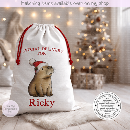 Personalised Capybara Santa Sack - Christmas Sack - Christmas Bag - For kids- for him - for her- Toy Sack