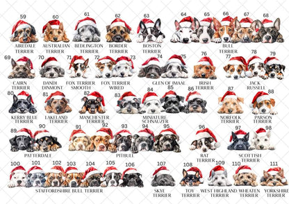 Personalised Dog Breed Santa Present Sack- Treat Sack- Christmas Sack- For The Dog