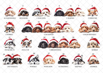 Personalised Dog Breed Santa Present Sack- Treat Sack- Christmas Sack- For The Dog