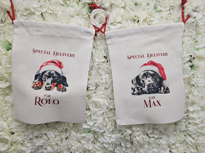 Personalised Dog Breed Santa Present Sack- Treat Sack- Christmas Sack- For The Dog