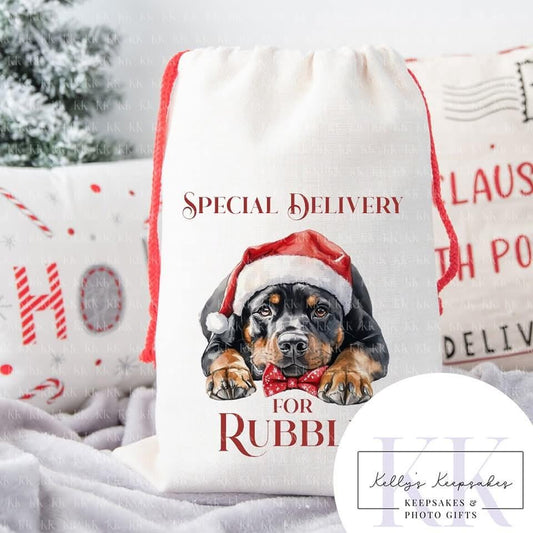Personalised Dog Breed Santa Present Sack- Treat Sack- Christmas Sack- For The Dog