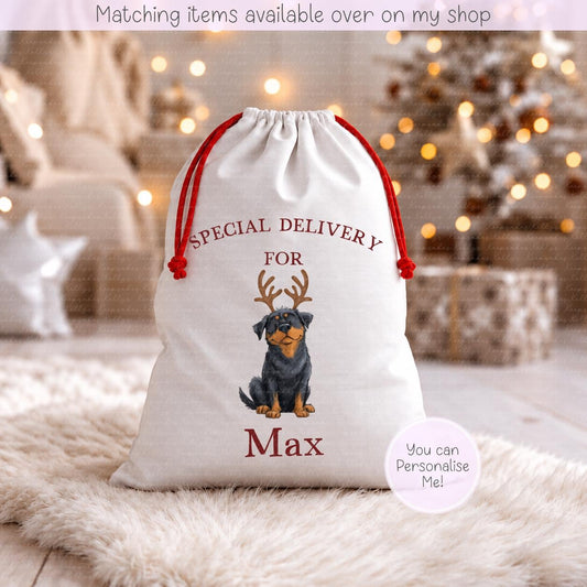 Personalised Dog Breed illustration Santa Present Sack- Treat Sack- Christmas Sack- For The Dog - Santa Sack