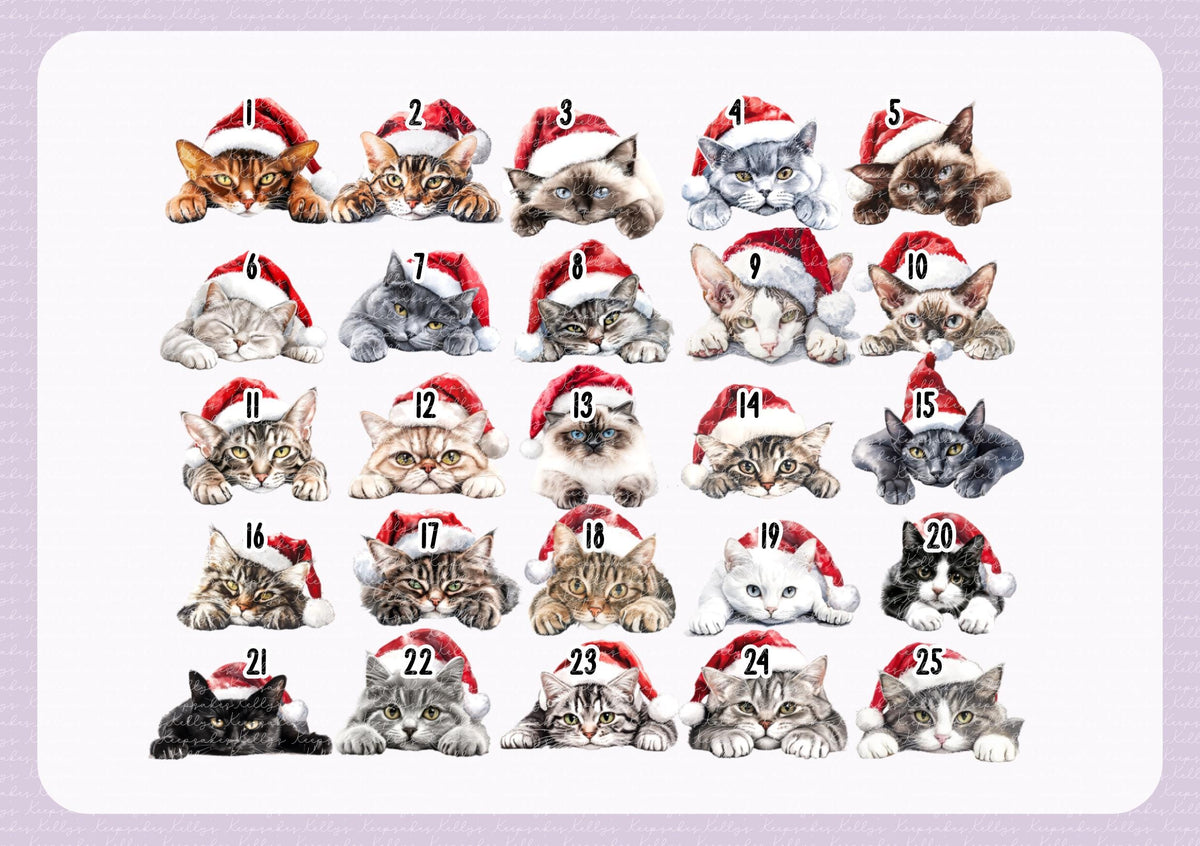 Personalised Cat Santa Present Sack- Treat Sack- Christmas Sack- For The Cat - Santa Sack