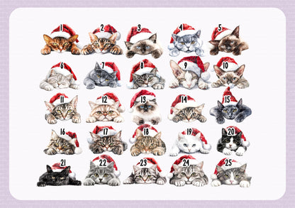 Personalised Cat Santa Present Sack- Treat Sack- Christmas Sack- For The Cat - Santa Sack