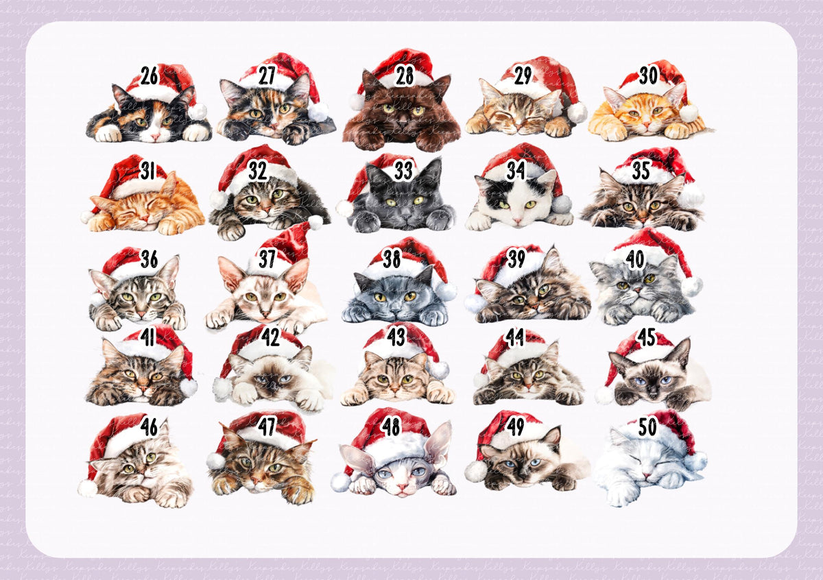 Personalised Cat Santa Present Sack- Treat Sack- Christmas Sack- For The Cat - Santa Sack
