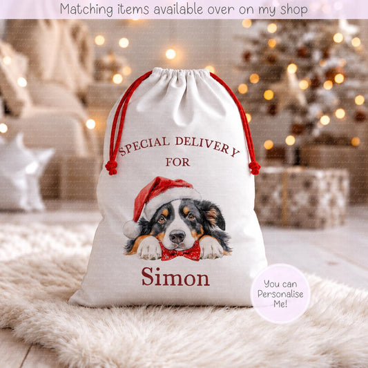 Personalised Dog Breed Santa Present Sack- Treat Sack- Christmas Sack- For The Dog