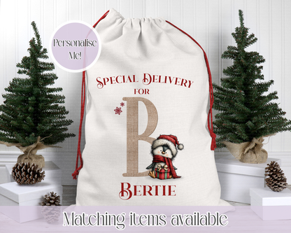 Quirky Christmas Penguin Santa Sack - Christmas Personalised Sack - 2 SIZES - 2 TYPES