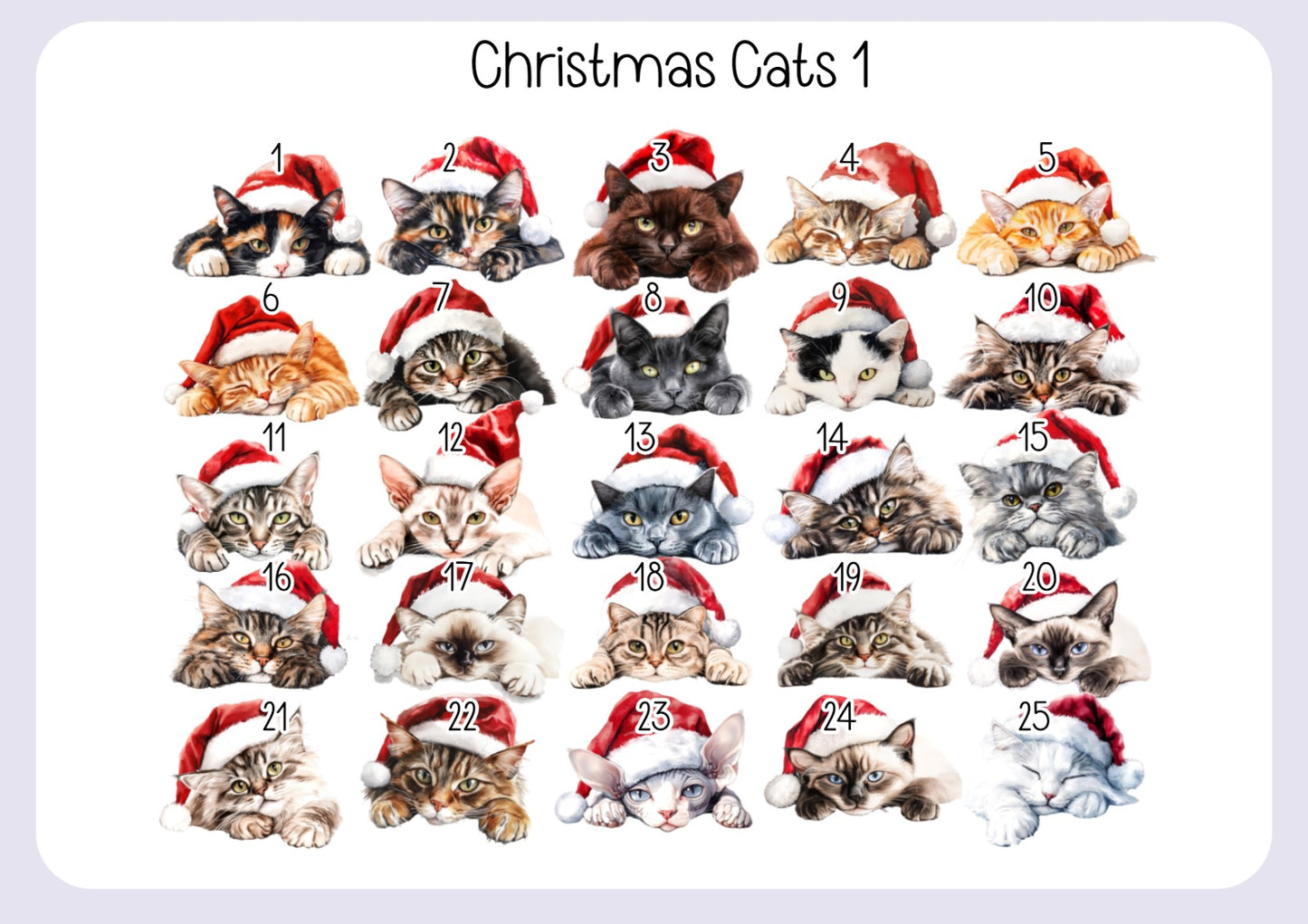 Personalised Cat Pet Stocking - Christmas Stocking for pets - various breeds ans colours - custom Santa sack for pets