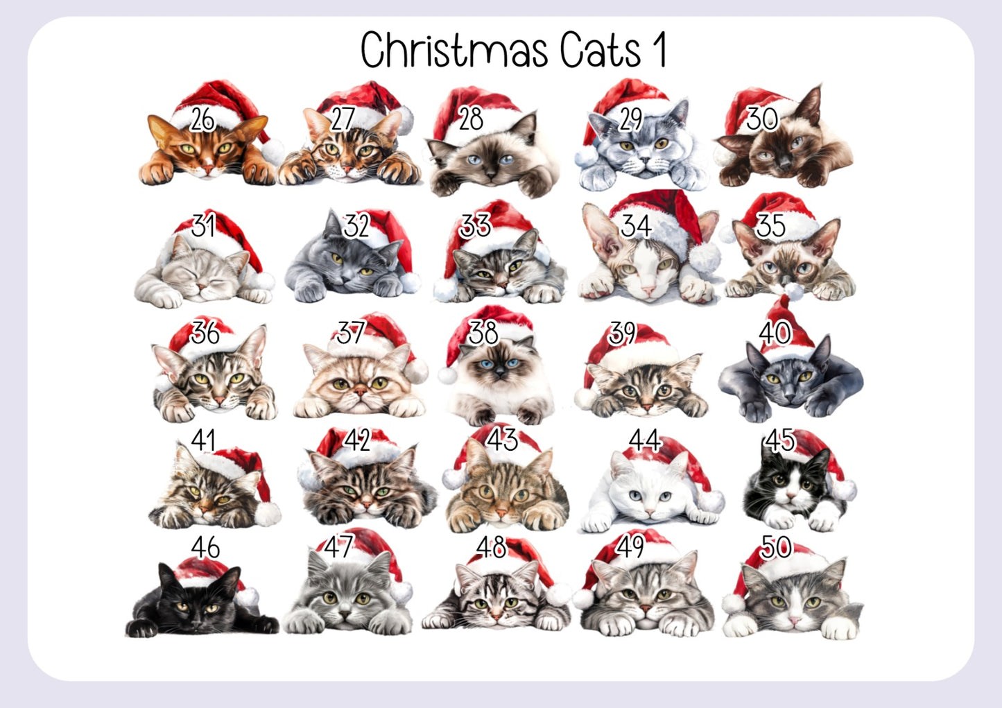 Personalised Cat Pet Stocking - Christmas Stocking for pets - various breeds ans colours - custom Santa sack for pets